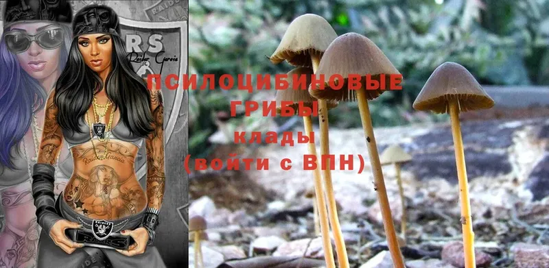 даркнет сайт  Котельнич  Псилоцибиновые грибы Psilocybe 